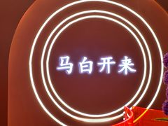 -马白开来特色羊排揪片子  (总店)