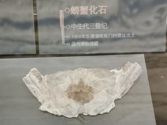 -温州博物馆