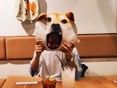 -柴务处·柴犬主题狗咖