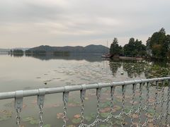 -东湖落雁景区