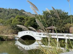 -丹樱生态园