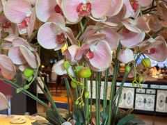 -八府香鸭·啫啫煲(华山路店)