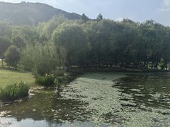 -长广溪湿地公园