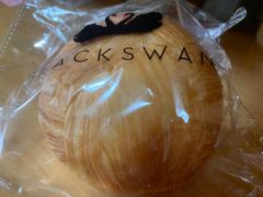 -BLACKSWAN黑天鹅(环球店)