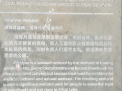 -洱海月湿地公园