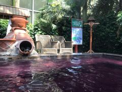 -仁爱团泊湖温泉中心
