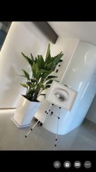 点击看大图 -处女座·MISS VIRGO·半永久纹眉野生眉