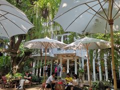 景观位-Fern Forest Cafe