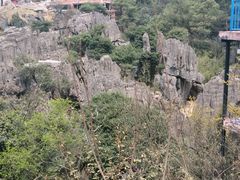 -梦幻奥陶纪景区