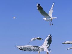 -海埂大坝