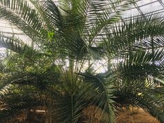 -武清南湖绿博园
