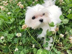 -白鹭湾湿地公园