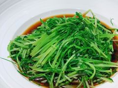 酒香炒豆苗-老头儿油爆虾·知味杭州(爱琴海购物中心)