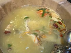 -抚仙湖生态石锅鱼野生菌(告庄店)