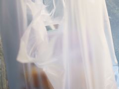 -清真祥晟斋稀糊烂李家卤鸡(洒金桥店)