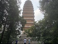 -洛阳白马寺