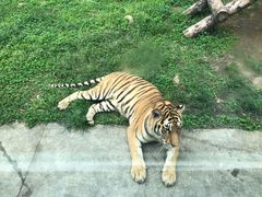 -西安秦岭野生动物园