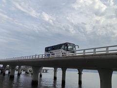 -演武大桥观景平台