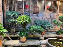 -文儒九号·闽菜馆(三坊七巷店)