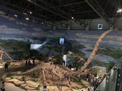-自贡恐龙博物馆