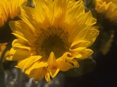 -Love Story爱情故事·养生SPA会所(新侨店)