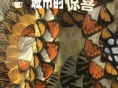 -上海昆虫博物馆