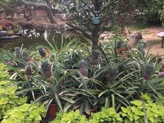 -南通洲际绿博园