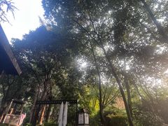 -融汇温泉