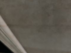 -巢爷老味(东方红店)