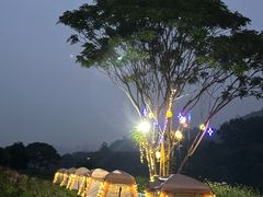 -东南花都花博园
