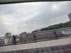 -张坝桂圆林公园