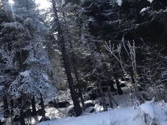 -太子岭滑雪场