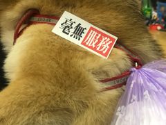 -无牌咖啡&酒馆