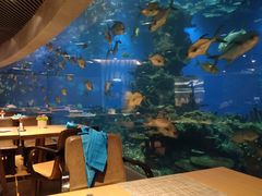 大堂-海棠湾洲际-涛·海底餐厅·美人鱼·自助餐·海底隧道
