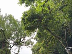 -吉隆坡雀鸟公园