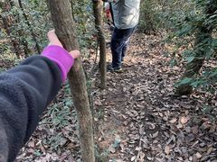 -午潮山国家森林公园