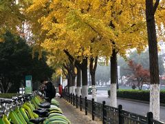 -苏州市立医院本部母子保健中心