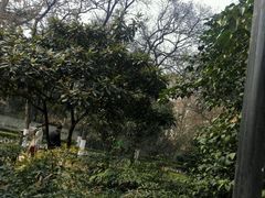 -莲湖公园