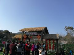 -香雪海