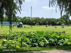 -武汉紫薇都市田园