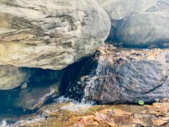-黑龙潭风景区