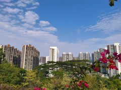 -白石龙音乐公园