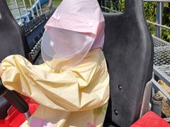 -郑州方特梦幻王国