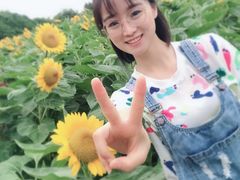 -艾溪湖湿地公园