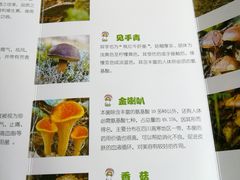 -太婆天府山珍酒楼(亚运村店)