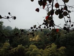 -东坡赤壁风景名胜区