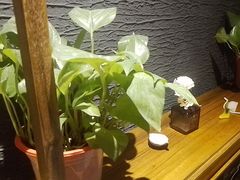 -汤泉良子.足疗按摩.SPA(中关村店)