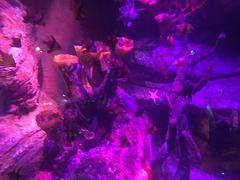 -沈阳海洋探索中心