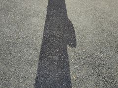 -大连体育中心体育馆