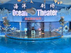 -苏州海洋馆